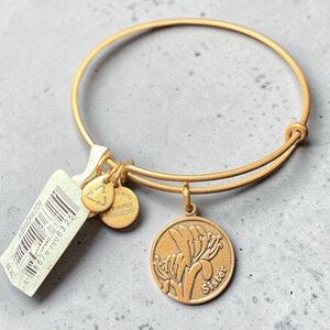 Alex and Ani “Because I Love‎ You Sister” Rafaelian Gold Expandable Charm Bangle